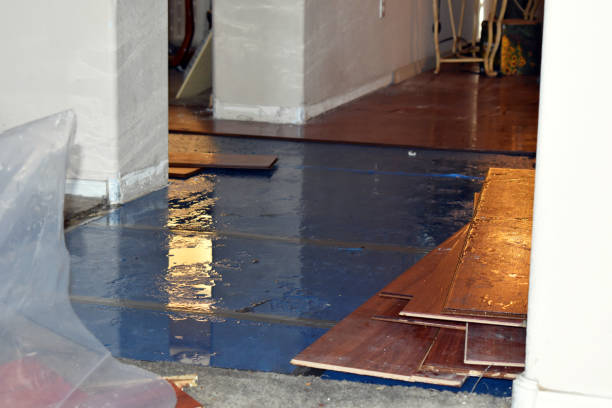 Professional Burst Pipe Cleanup technician working in Girard, KS
